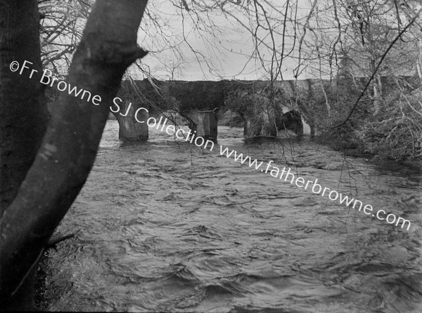 RIVER LIFFEY IN SPATE NEAR CELBRIDGE